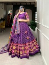Bandhej Patola Lehenga Choli